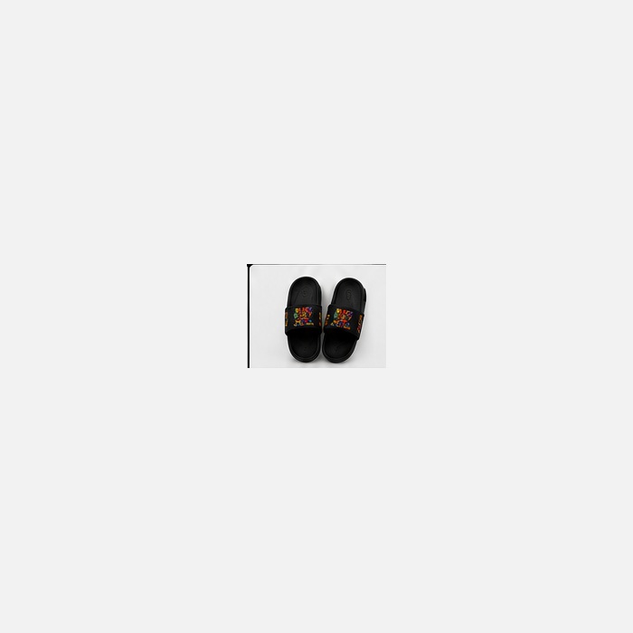 Slides
